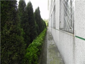 安庆阳光职业技术学校召开新学年开学典礼暨上学期期末表彰大会
