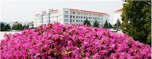 合肥工业技术学校2020年招生简章