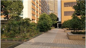 陆家嘴软件园12