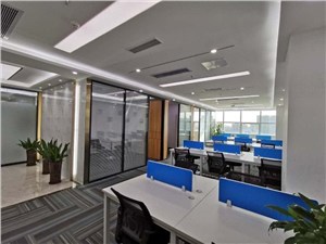 上海张江集电港