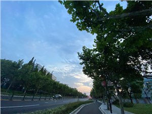 张江集电港13