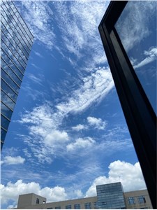 张江集电港14