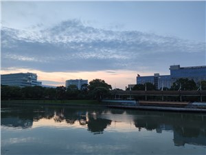 张江集电港16
