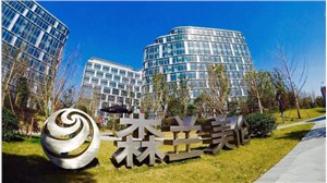 森兰美奂国际美伦大厦29万生态商务综合体