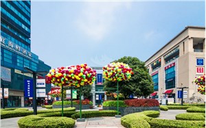 金桥国际商业广场写字楼出租