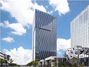 森兰外高桥 自贸区企业总部有集聚 森兰湾独栋办公简介