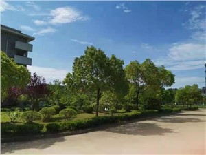 合肥公交技工学校