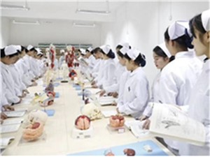 药物制剂