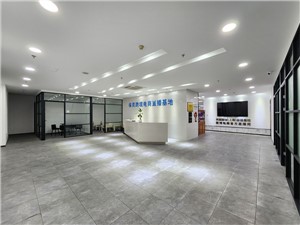 外高桥直播基地
