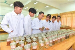 安徽电气工程学校中药制药专业介绍