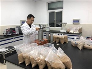 合肥八一科技学校粮油储运与检验技术专业介绍