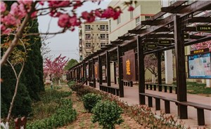 校园环境