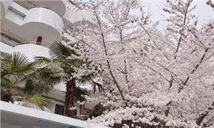 校园环境