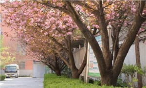 校园环境
