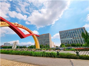 外高桥直播基地