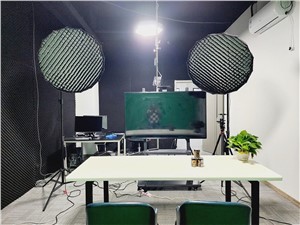 外高桥直播基地
