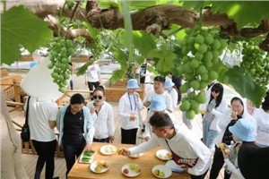 阜阳工商贸易学校农村经济综合管理专业介绍