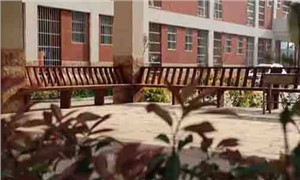 校园环境