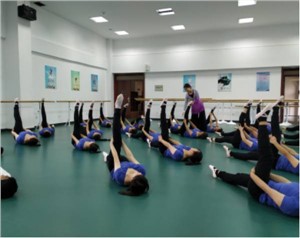 芜湖京师职业学校舞蹈表演专业介绍