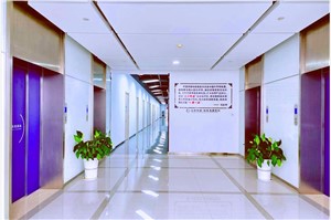 上海市直播基地