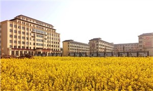 校园环境