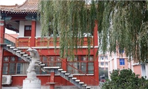 校园环境