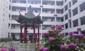 校园环境