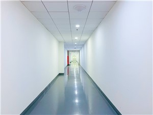 上海直播基地