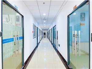 上海直播基地