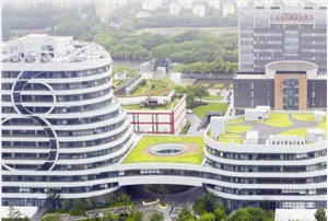 “张江药谷”的金字招牌是怎样炼成的