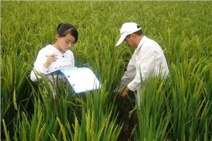 农产品加工与质量检测