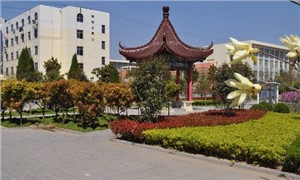 校园环境
