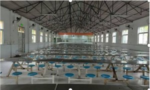 学校食堂