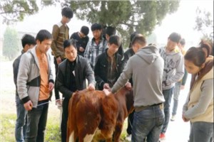 畜禽生产技术