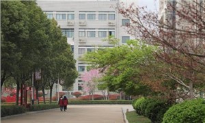 校园环境
