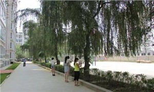 学校操场