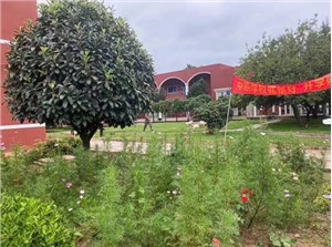 校园环境
