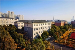 校园风光