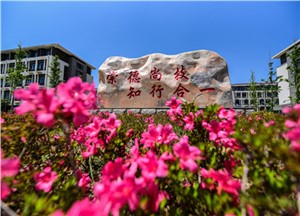 校园环境