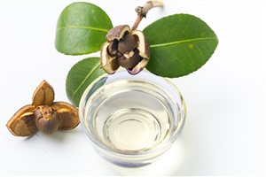 化妝品基礎茶油
