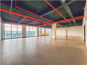 上海市直播基地