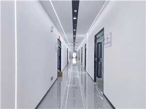 上海市直播基地