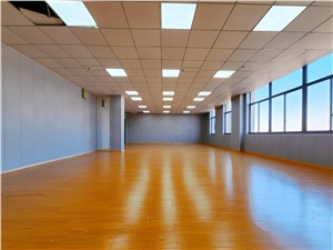 上海市直播基地