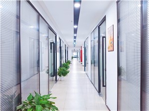 上海市直播基地