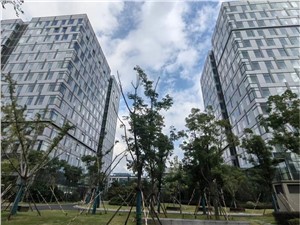 集贤中心
