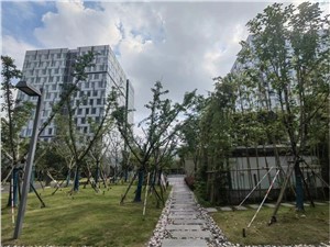 集贤中心