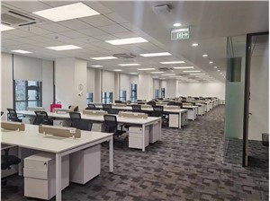 佑越国际