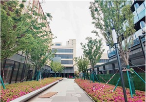 川沙企业中心-80平起分割