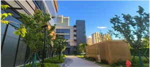 川沙企业中心-园区概括