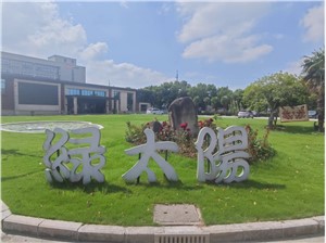 绿太阳